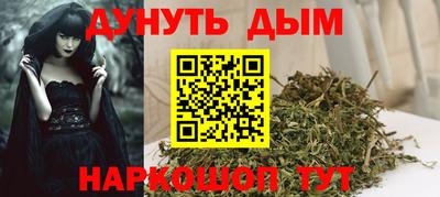 дмт Гай