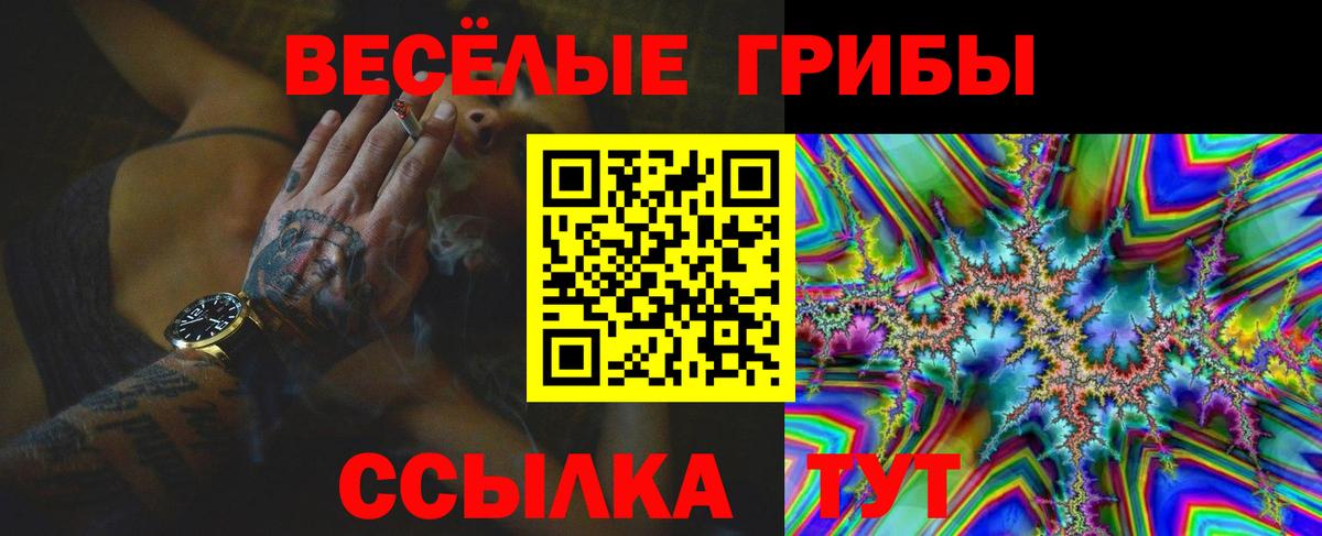 Малгобек  Псилоцибиновые грибы мицелий  Вход с VPN 