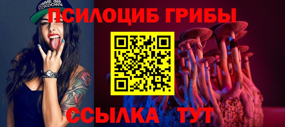 Псилоцибиновые грибы Psilocybe Малгобек